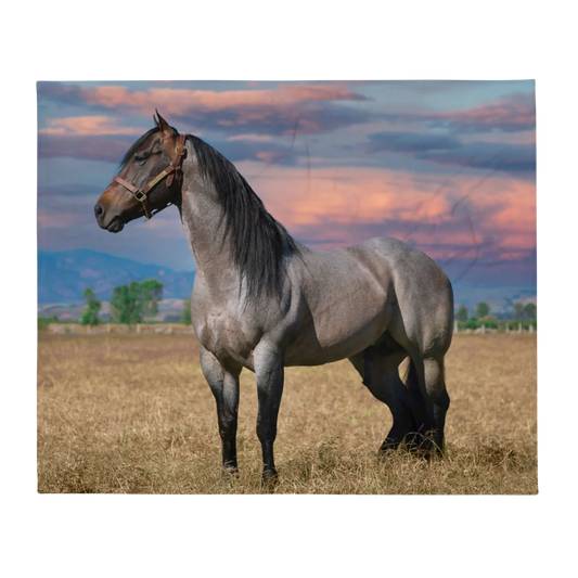Blanket designed with Gray horse standing in a field with a colorful sky