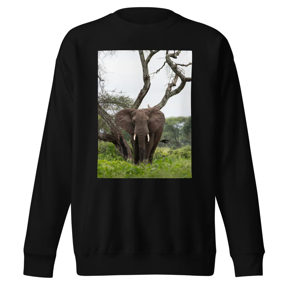 Black sweatshirt with an elephant graphic on a white background