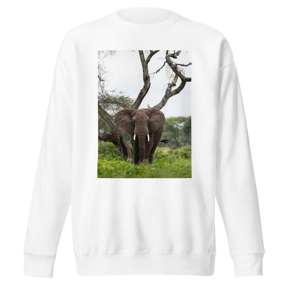 White sweatshirt with an elephant graphic on a white background
