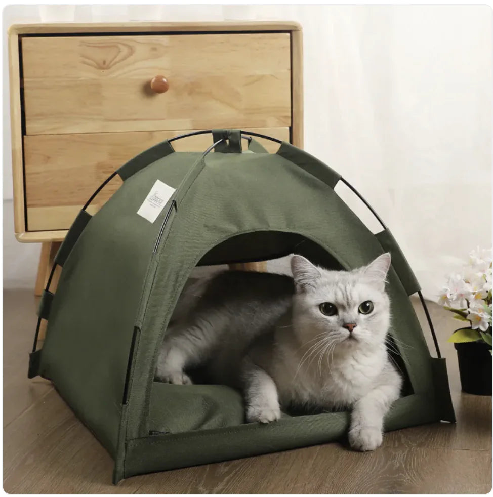 Cat inside a green cooling tent on a wooden floor with a wooden drawer in the background